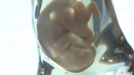 Empresa japonesa desenvolve réplica de feto como recordação